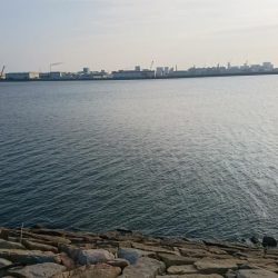 タチウオカッター！