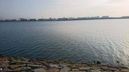 タチウオカッター！