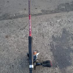 タチウオ上向いていくか！