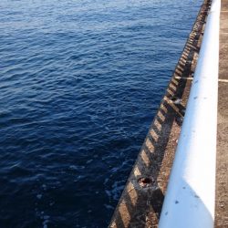 どんどん渋くなってます