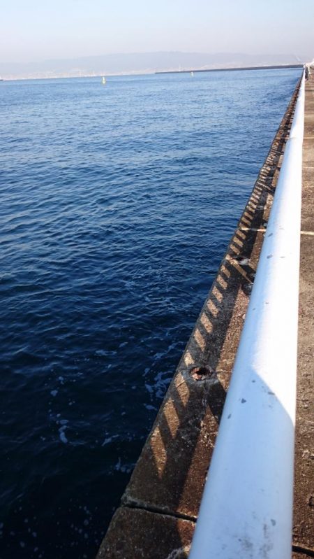 どんどん渋くなってます