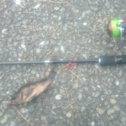 ライトワインド最初からやっておけば。。。