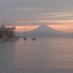 そろそろメバルシーズン