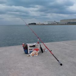 東二見白灯台でキス狙い