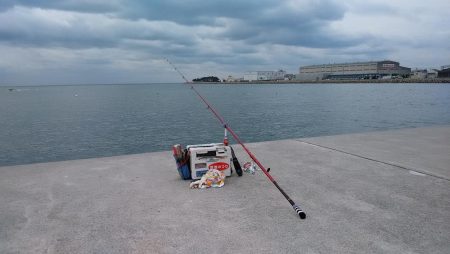 東二見白灯台でキス狙い