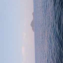 teamゲッソー調査隊