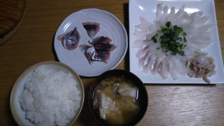 ファミリーフィッシング