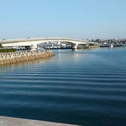 東二見白灯台波止へ落ちギス調査