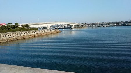 東二見白灯台波止へ落ちギス調査