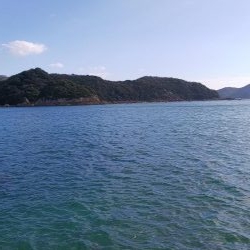 teamゲッソー調査隊