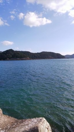 teamゲッソー調査隊