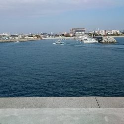 東二見白灯台波止へ落ちギス調査