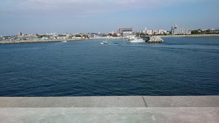 東二見白灯台波止へ落ちギス調査