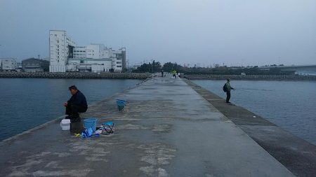 東二見白灯台波止へ落ちギス調査