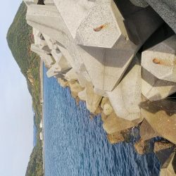 teamゲッソー調査隊