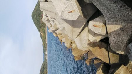 teamゲッソー調査隊