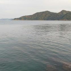 teamゲッソー調査隊