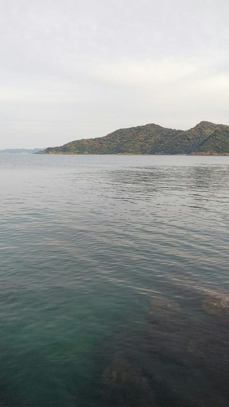 teamゲッソー調査隊