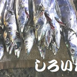 12日の兵庫突提に行ってきました。