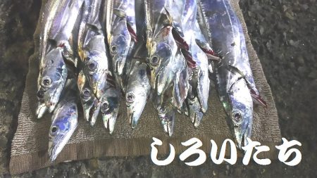 12日の兵庫突提に行ってきました。