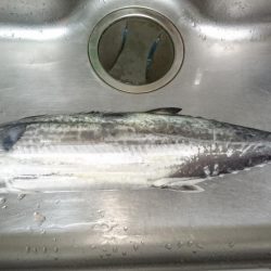 EEBISUでブリラッシュ