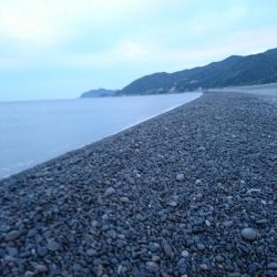 トップでハマチ