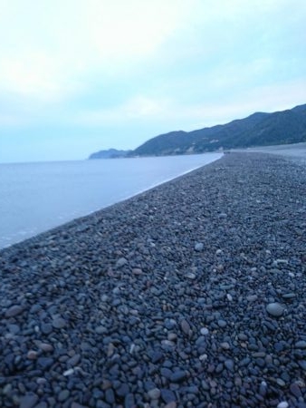 トップでハマチ