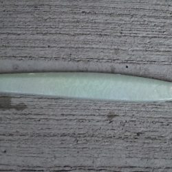 サイズアップヒラマサ