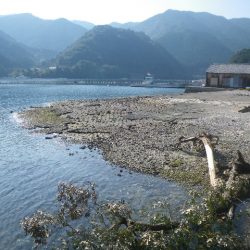 オオモンハタ遠征