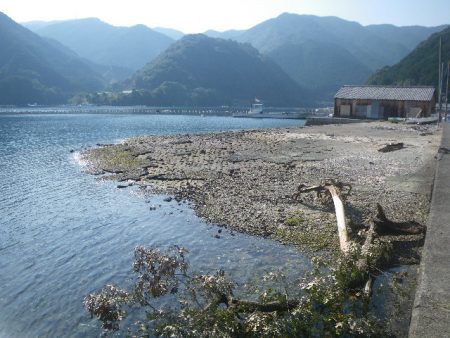 オオモンハタ遠征