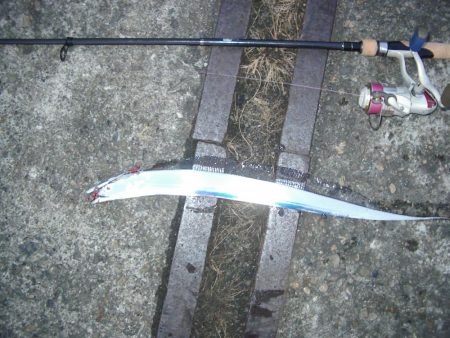 ｻｰﾍﾞﾘﾝｸﾞ