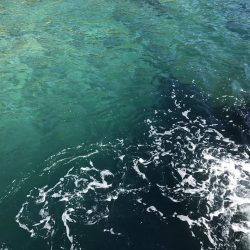 ライトゲーム好調