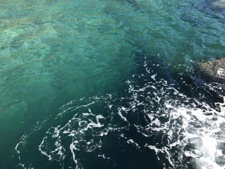 ライトゲーム好調