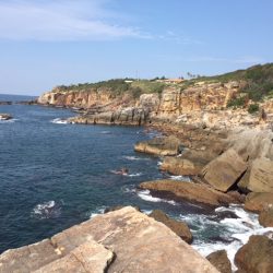 アオリイカ大漁9杯