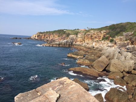 アオリイカ大漁9杯