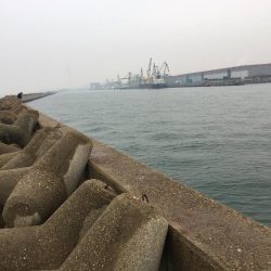 青物狙い!のはずが、、、