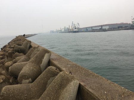 青物狙い!のはずが、、、