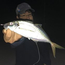 アジ良型連発！