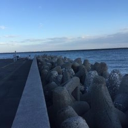 四日市港でライトワインド