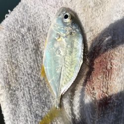 夜練から朝練！