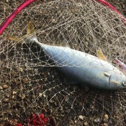 休みの日釣り三昧♫