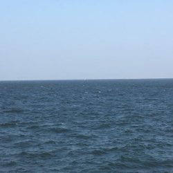 強風と濁りの中、攻略成功♫