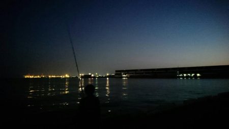 タチウオつれず、グレが。