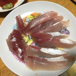 渋くても釣りますよ〜♫
