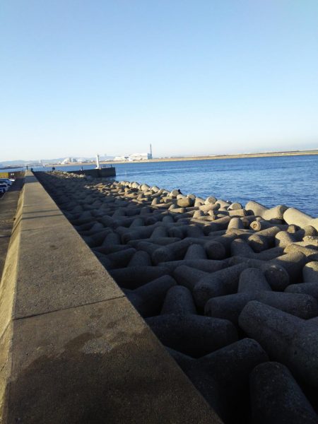 ホクシン前にてメジロ