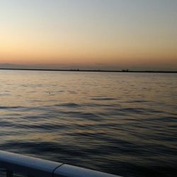 激寒で激渋の朝