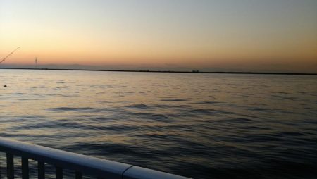 激寒で激渋の朝