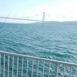 連日釣行最終日