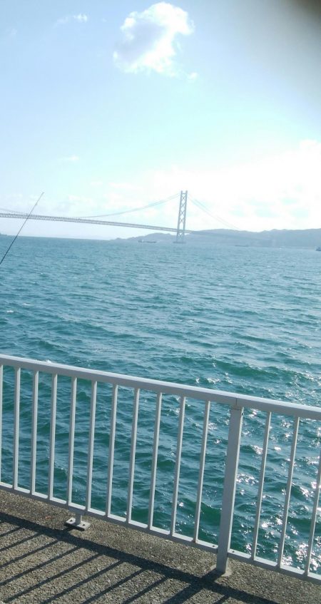 連日釣行最終日