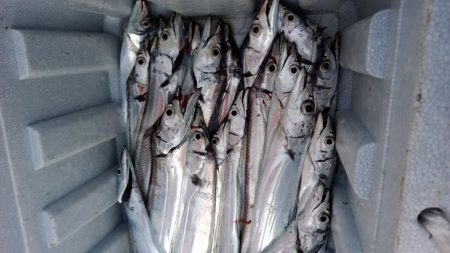 アタリはあるけど小さい